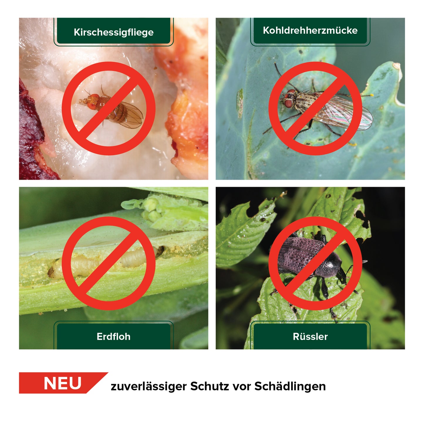 Insect protection net, various sizes