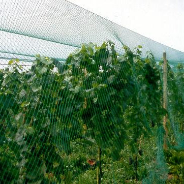 Vogelschutznetz, Masche 20 mm, div. Größen